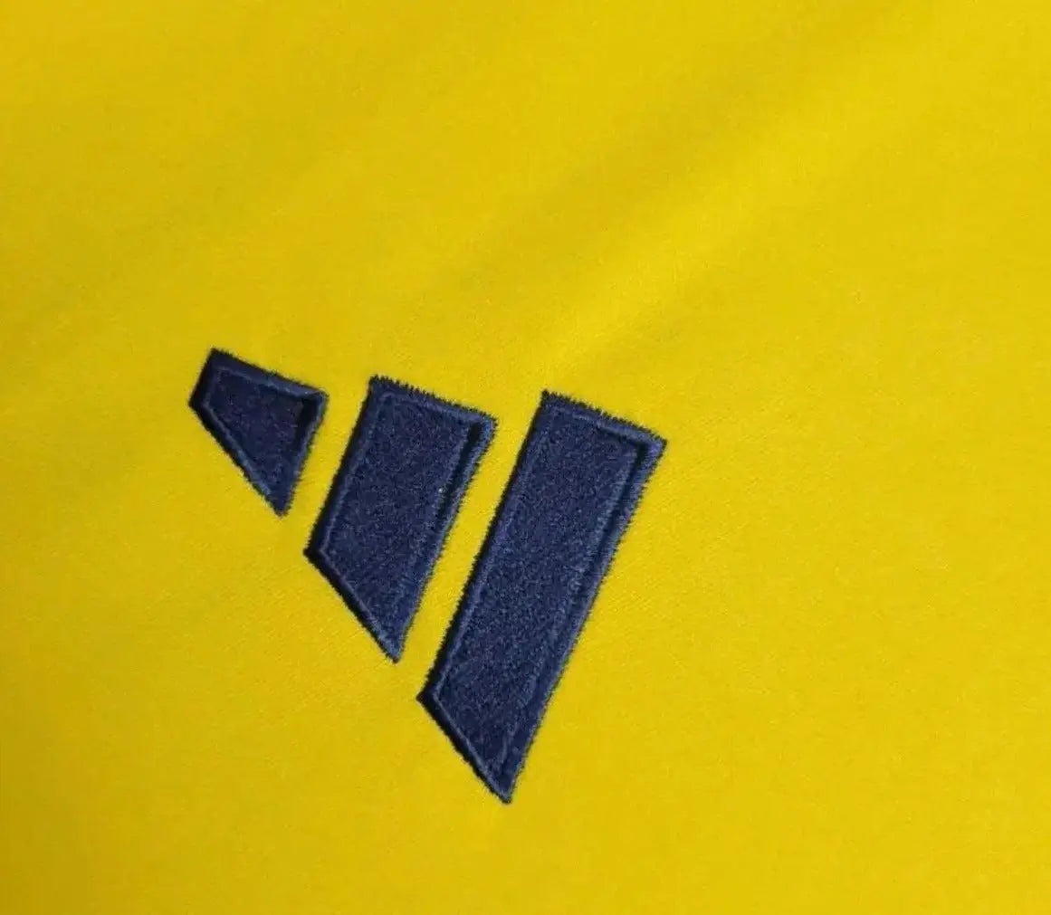 Maillot de la Colombie domicile « Jaune » Version fan 2024/2025 Yama