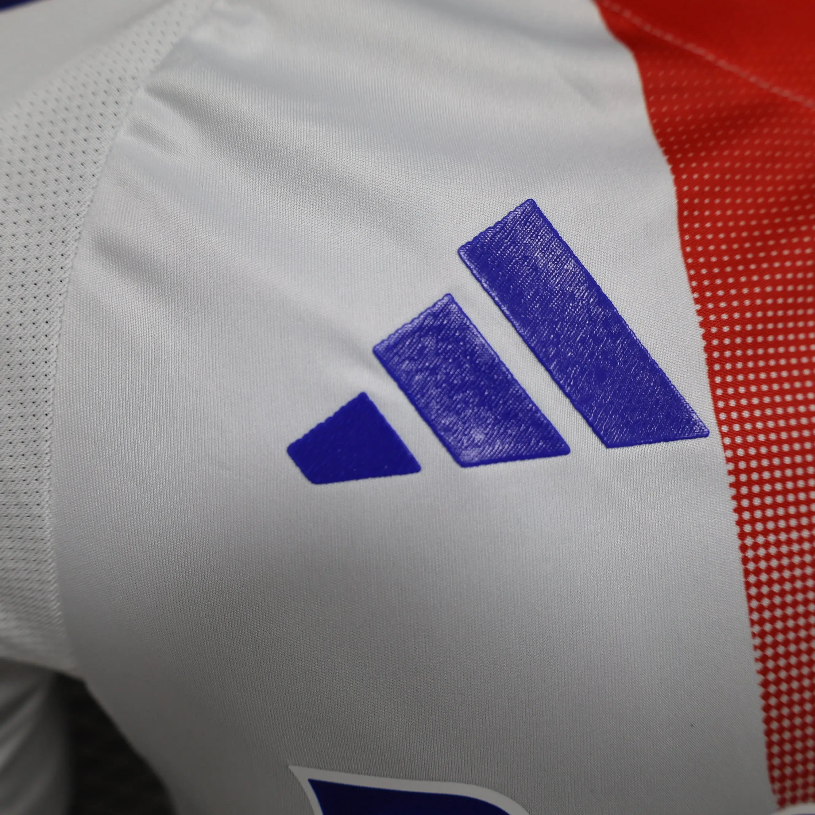 MAILLOT OLYMPIQUE LYONNAIS DOMICILE 2024/2025 Onze Maillots